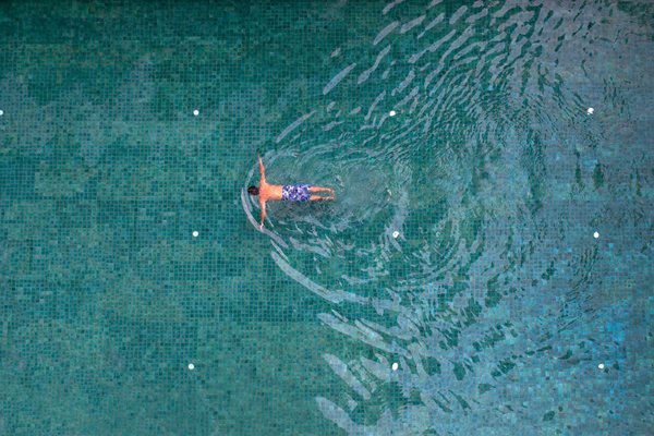 Ultimate UK Apartment Worm Composting: Your All-In-One Starter and Sustainability Guide